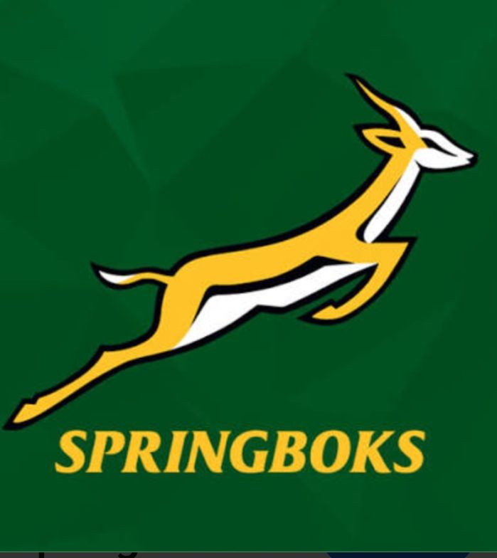 Springboks Prepare for Dublin Battle as Mostert Red-Card Decision Takes Centre Stage