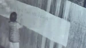 Sydney Grandma Charged Over Anti-Israel Graffiti Spree