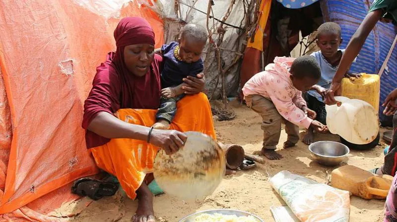 US Halts Somalia Assistance Over Alleged Seizure of American-Funded Food Aid