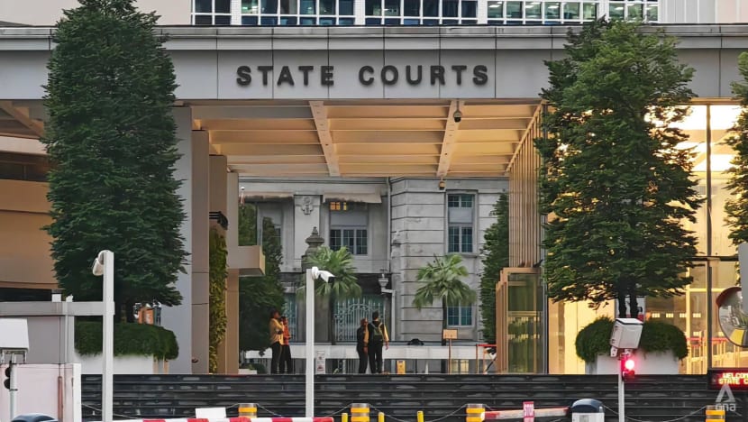 Singapore Stepmother to Plead Guilty After Years of Abuse That Left Child Dead