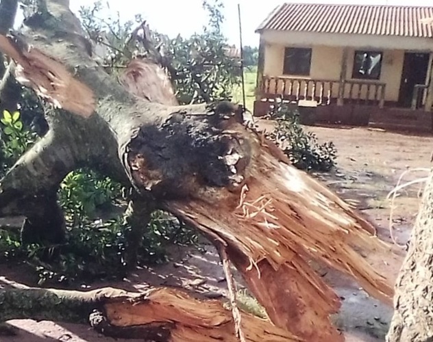 Lightning strike kills five in Niassa as Mozambique’s rain toll climbs