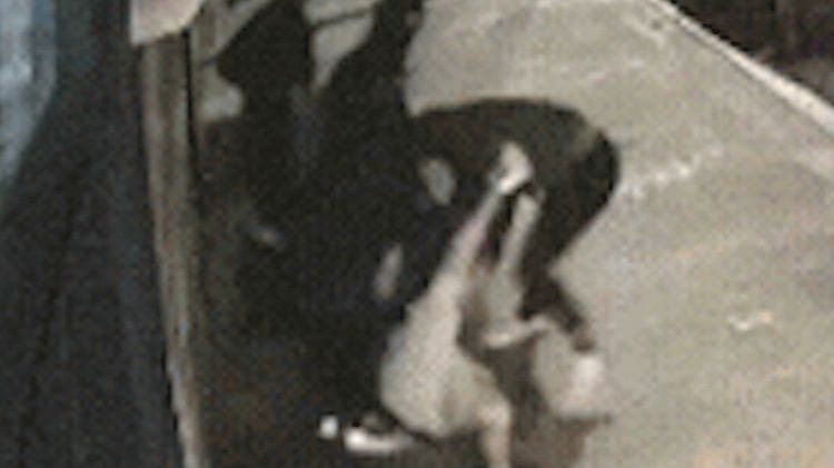 Kidnapped Sydney Man Freed in Swift Police Operation