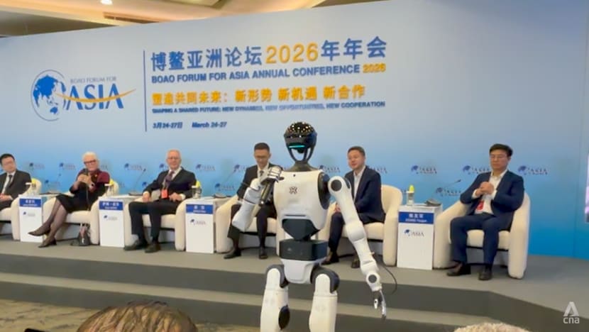 Humanoid robots still years from everyday use, experts warn