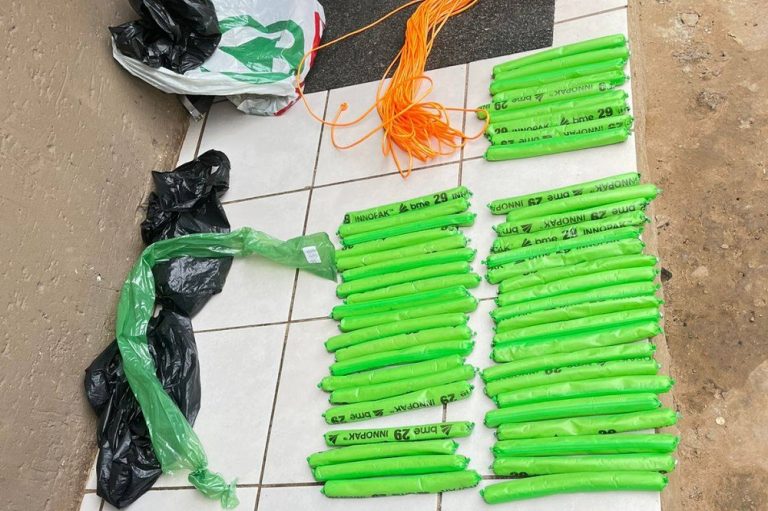 Explosives Bust at Beitbridge: Truck Driver to Seek Bail