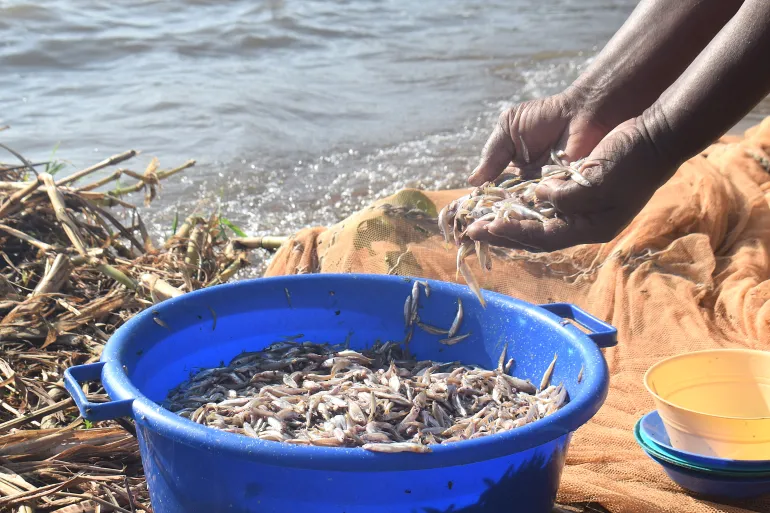Kenyan Women Break Lake Victoria Fishing Taboo Amid Climate Pressures
