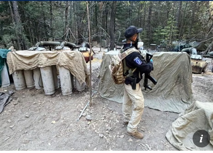 US and Mexican Officials Killed in Car Crash during Anti-Cartel Operation in Chihuahua