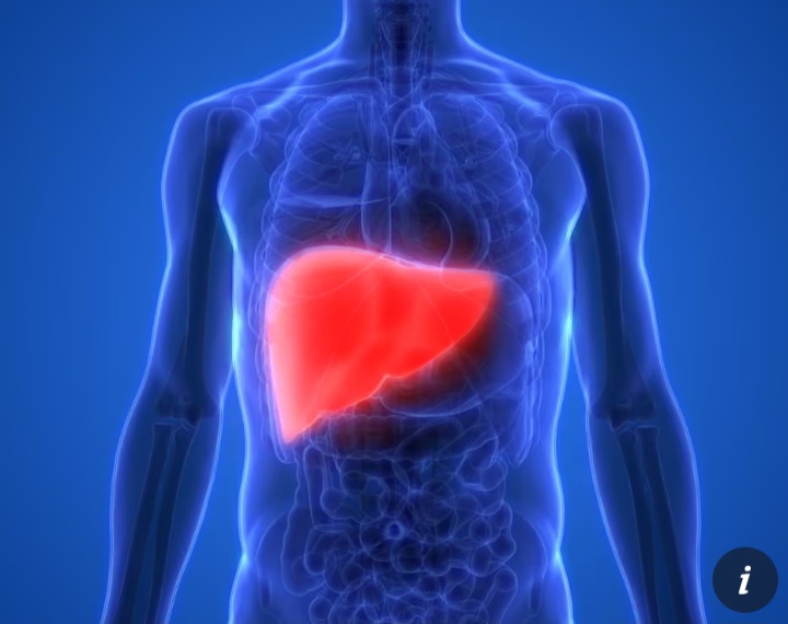 Experts Urge EU to Raise Alcohol and Junk Food Taxes to Tackle Liver Disease Crisis