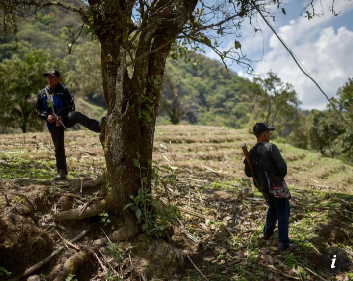 Drug Gang Attacks Force Hundreds of Indigenous Families to Flee in Mexico