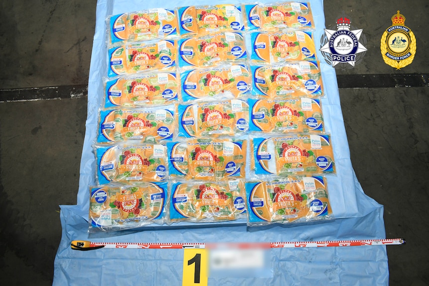 Cocaine Hidden in Fruit Pulp Seized at Melbourne Airport