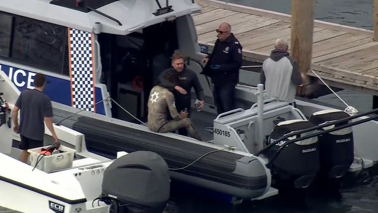 Shark Attack Horror Claims Life Near Popular Rottnest Island