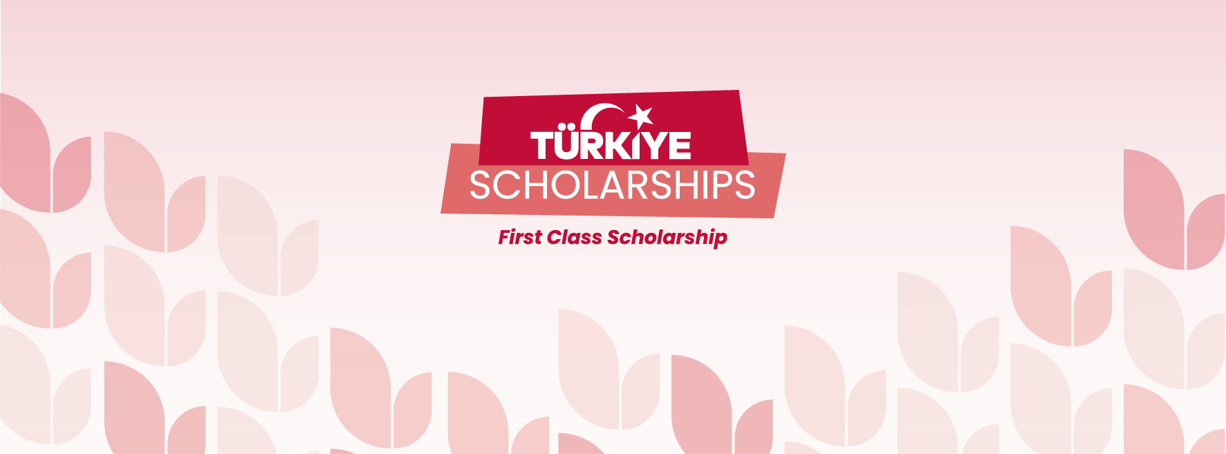 2026 TURKEY SCHOLARSHIPS - Undergrad and Postgrad